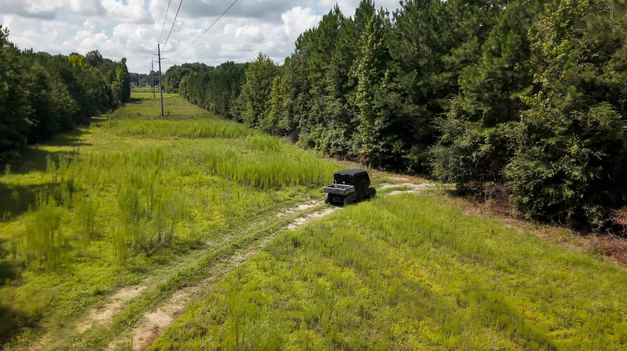 224.56 Acres | Buck Creek 224 | Montezuma, GA